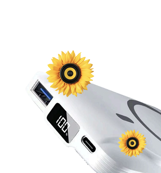 BoostBase PowerBank (White)